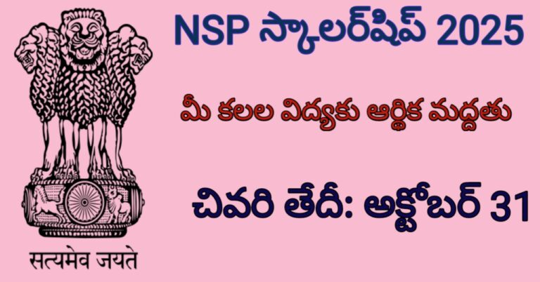 NSP SCHOLARSHIP